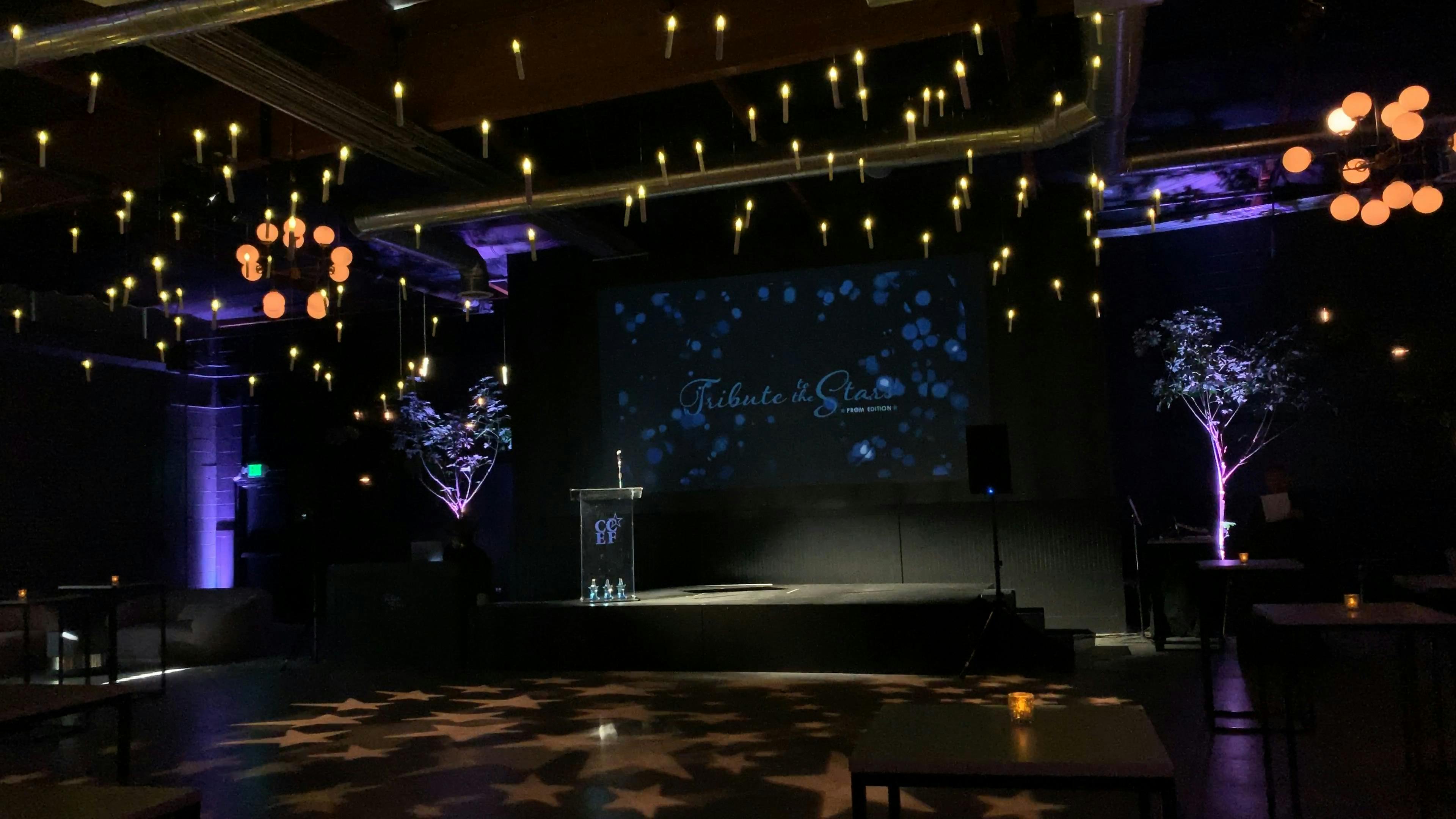 Fundraiser Stage Design Ideas posted by The Lighter Side