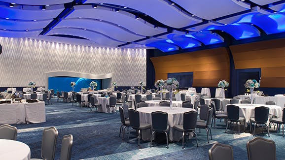 Oceans Ballroom Aquarium PartySlate