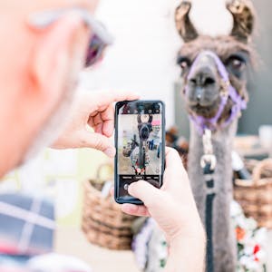 View additional photo from this collection