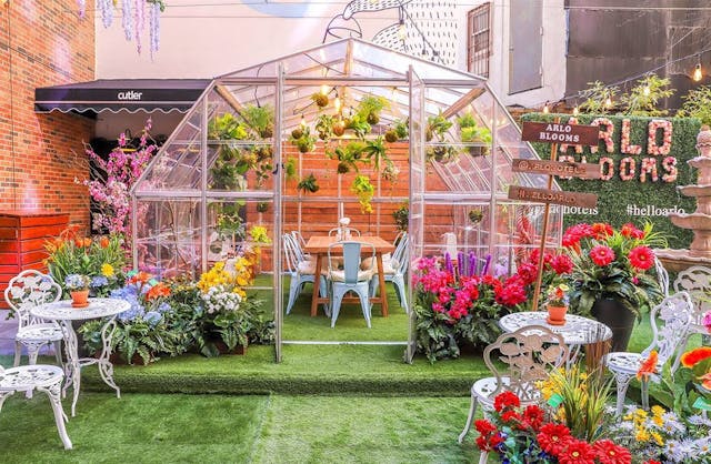 Featured photo from Courtyard