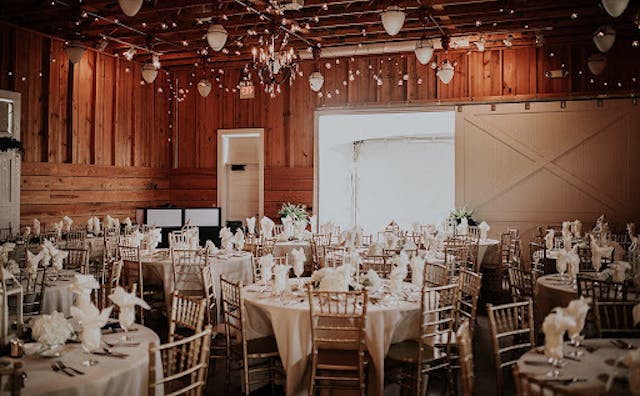 Featured photo from Indoor Space