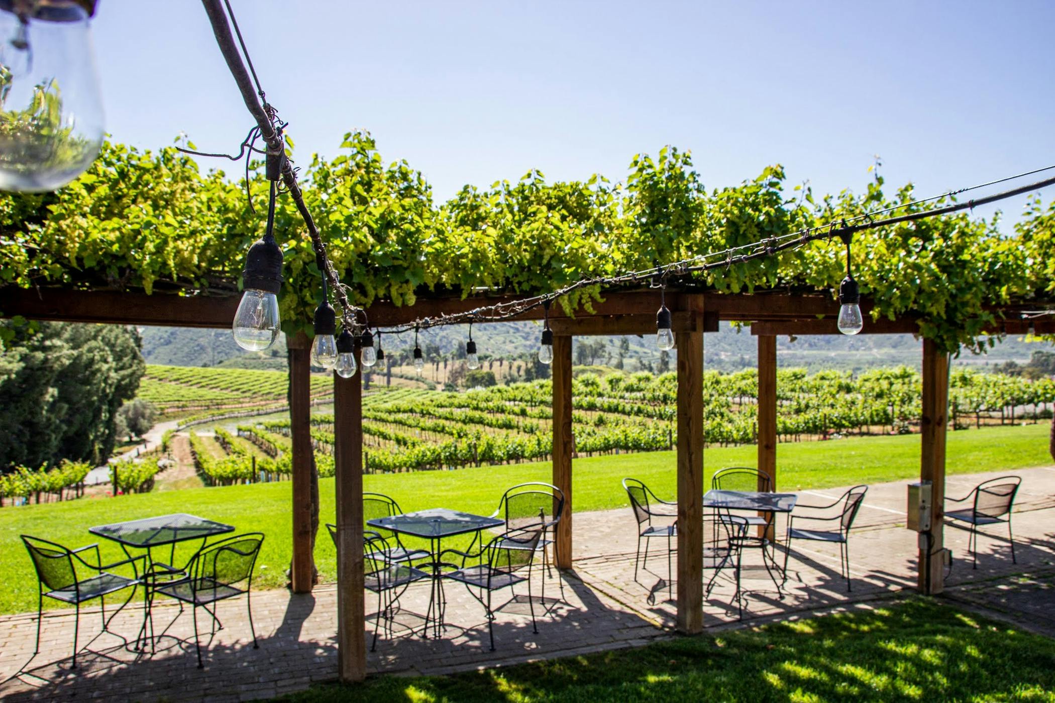 Orfila wine tasting coupon