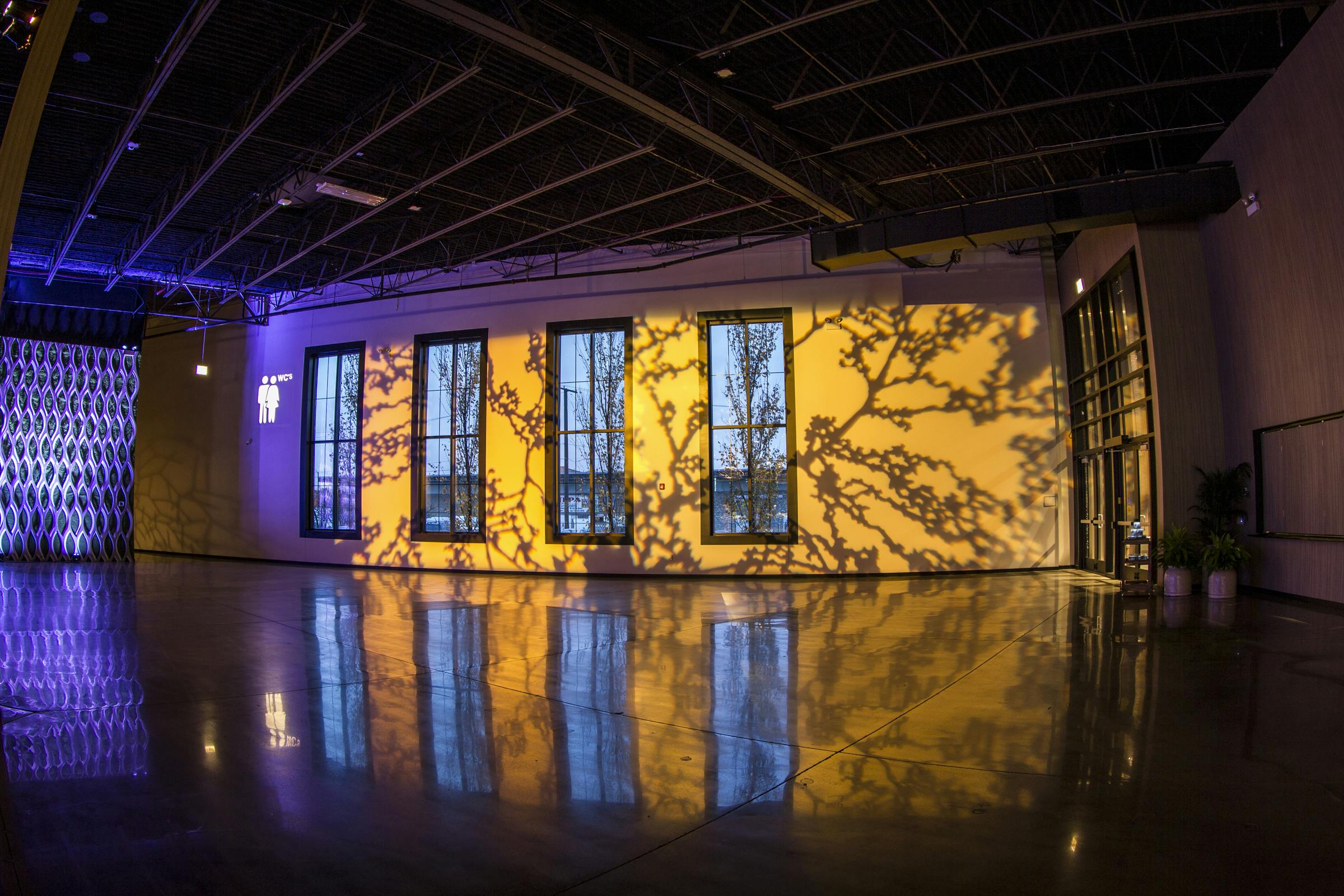 Fundraiser Lighting Ideas posted by The Geraghty