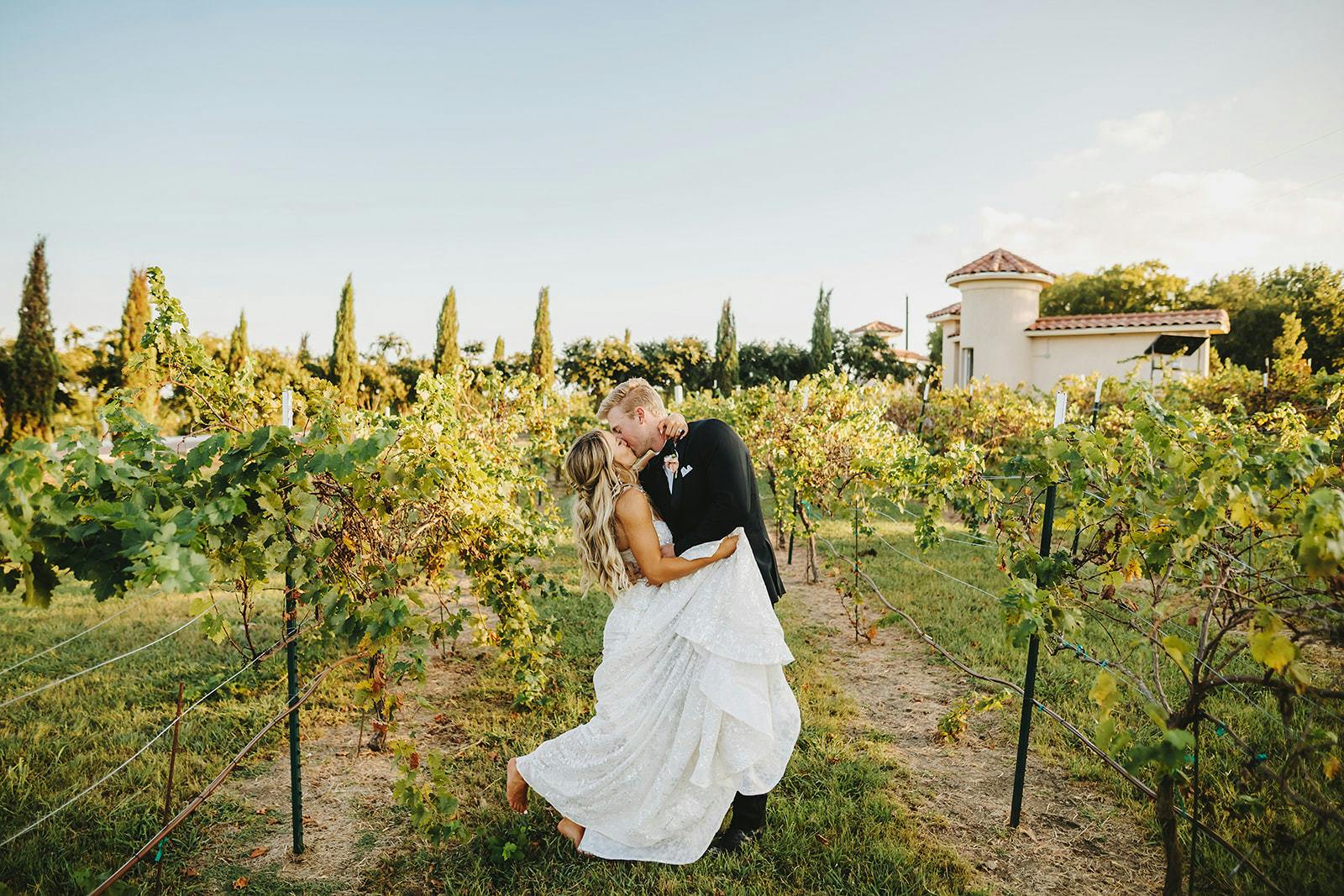 Featured photo from Vineyard & Grounds