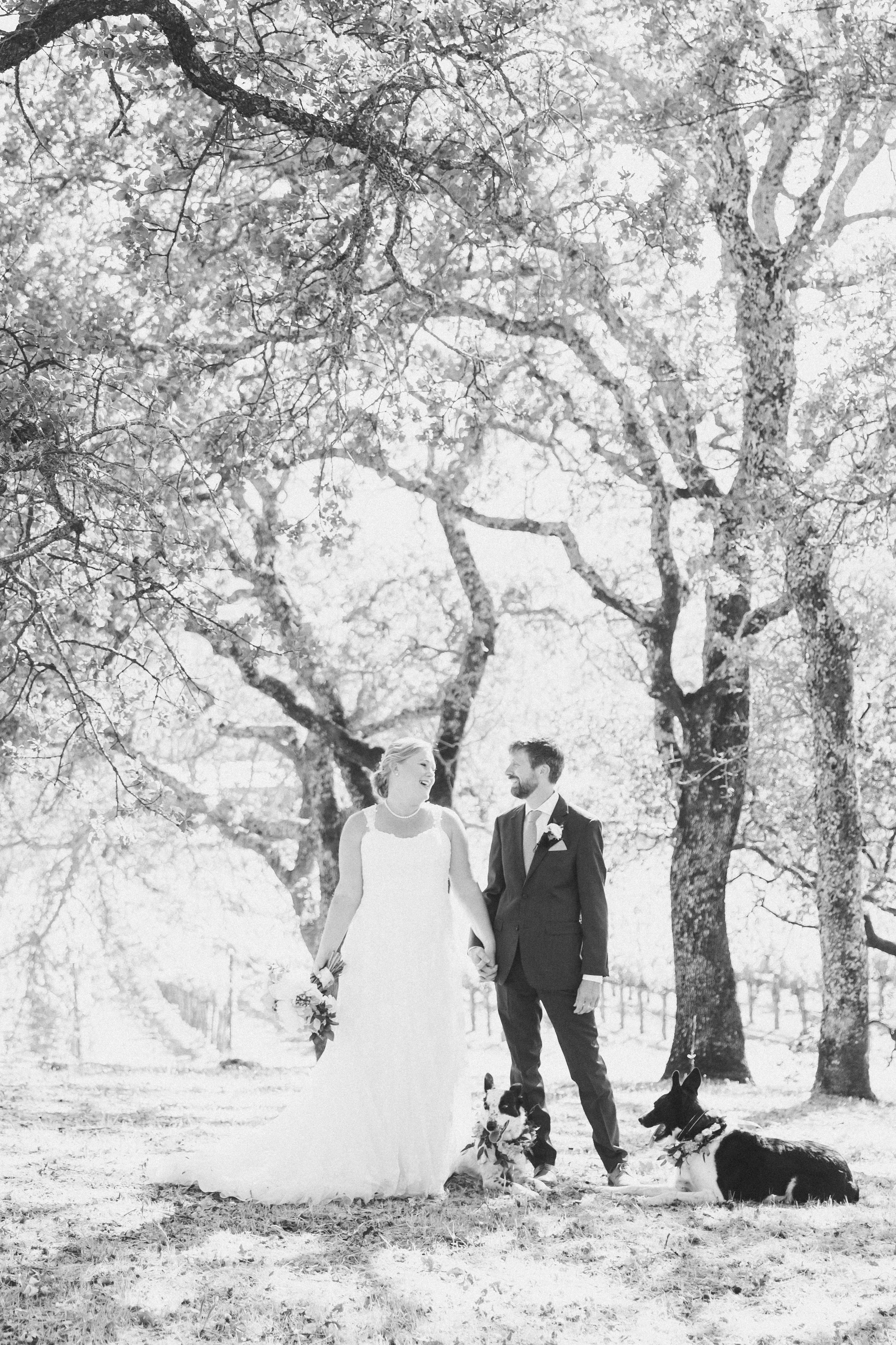 photo-80051668-9e29-487c-a921-4cc5f7a959db-jpg-ixlib-rails-2-1-4-w-1200