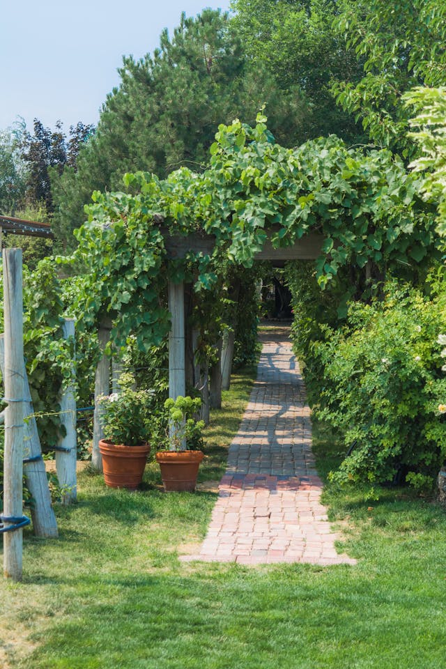 Featured photo from JOSH & CAT