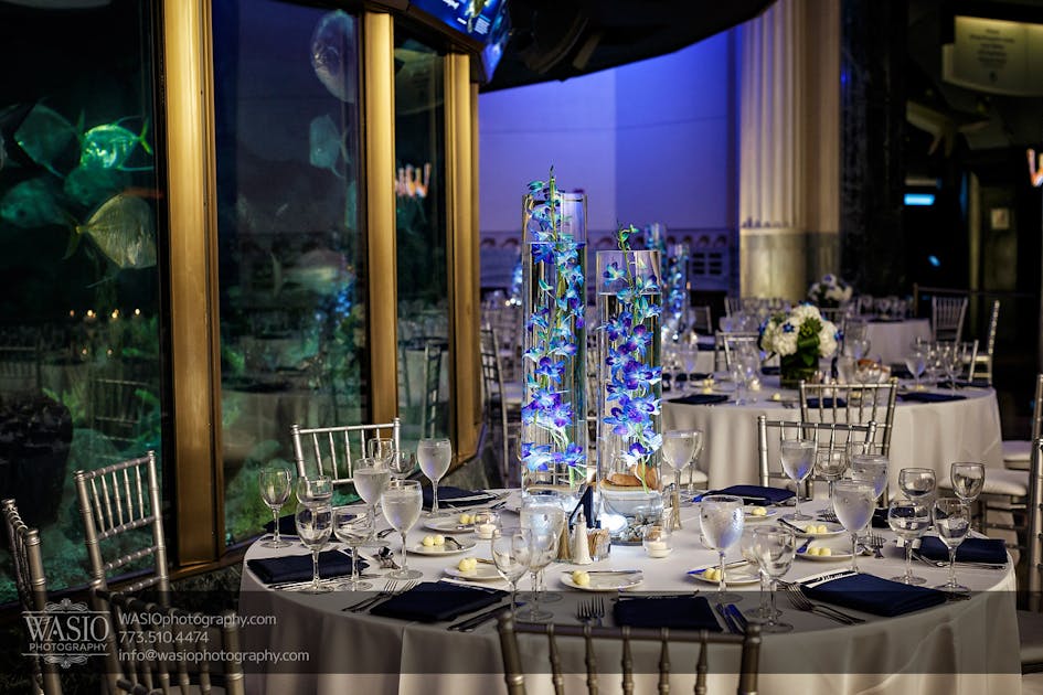 Shedd Aquarium | Under the Sea Wedding | PartySlate