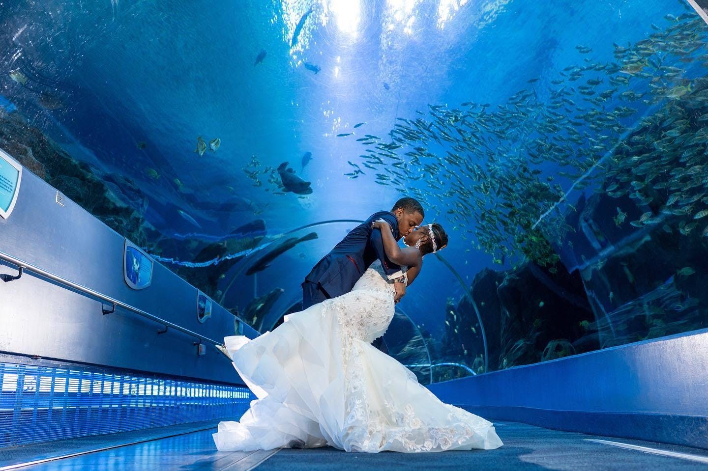 Aquarium Atlanta Venue All Events 66 photos on PartySlate