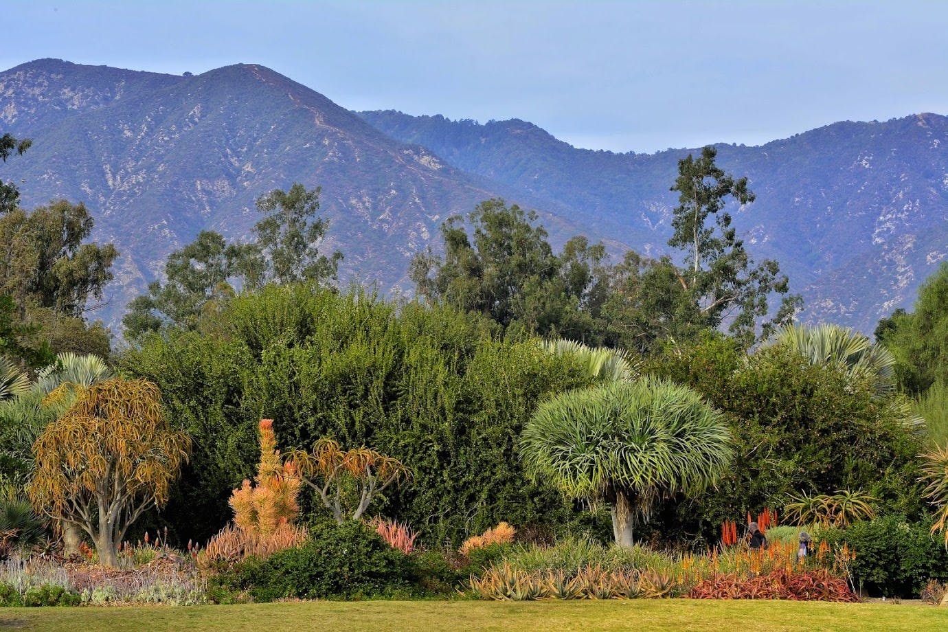 Los Angeles County Arboretum & Botanic Garden, Outdoor event space at Los Angeles County Arboretum and Botanic Garden