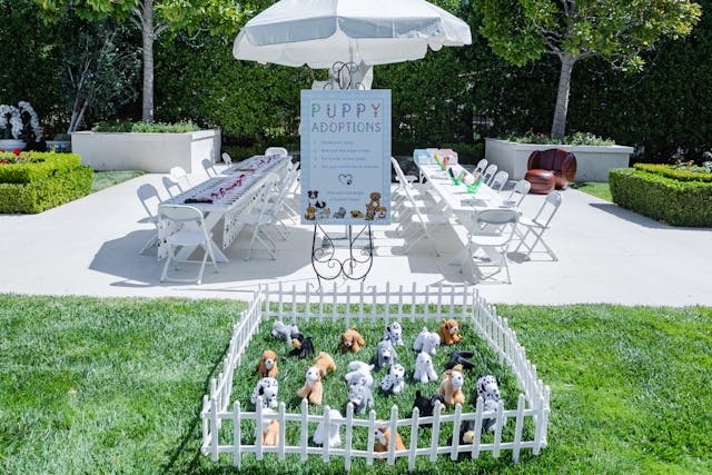 Featured photo from Puppy Themed 2nd Birthday Party at a Private Residence in Westlake Village, California