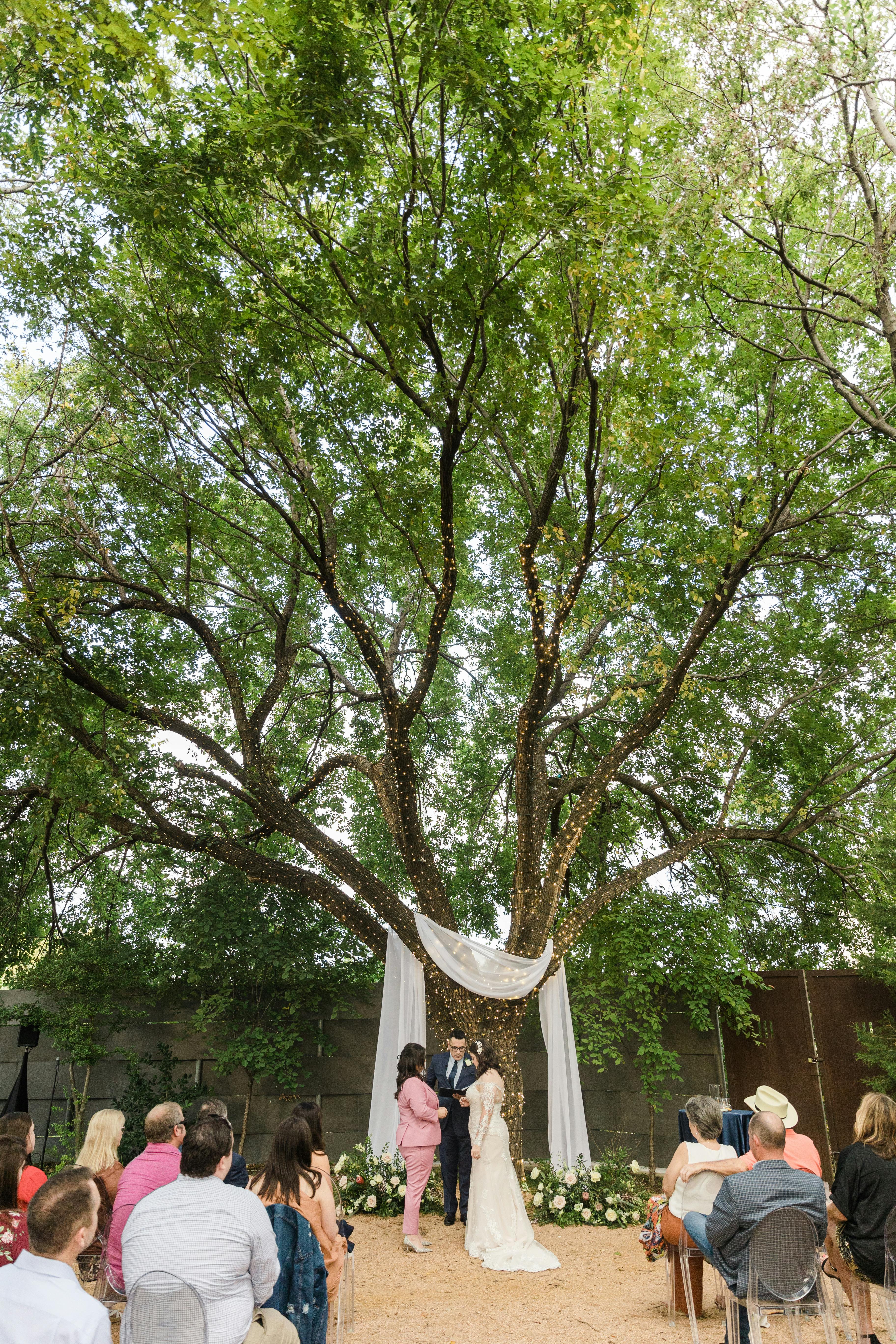 Featured photo from Garden