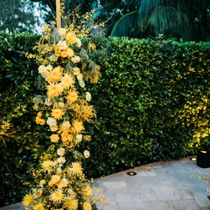 View additional photo from this collection