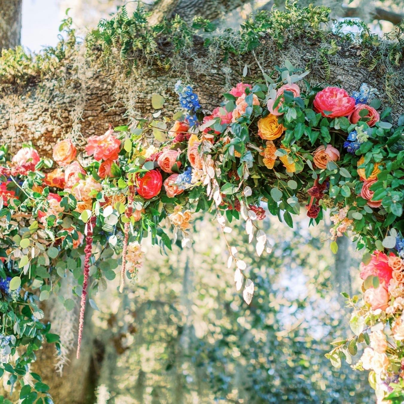 Featured photo from Colorful Wedding in Charleston, South Carolina