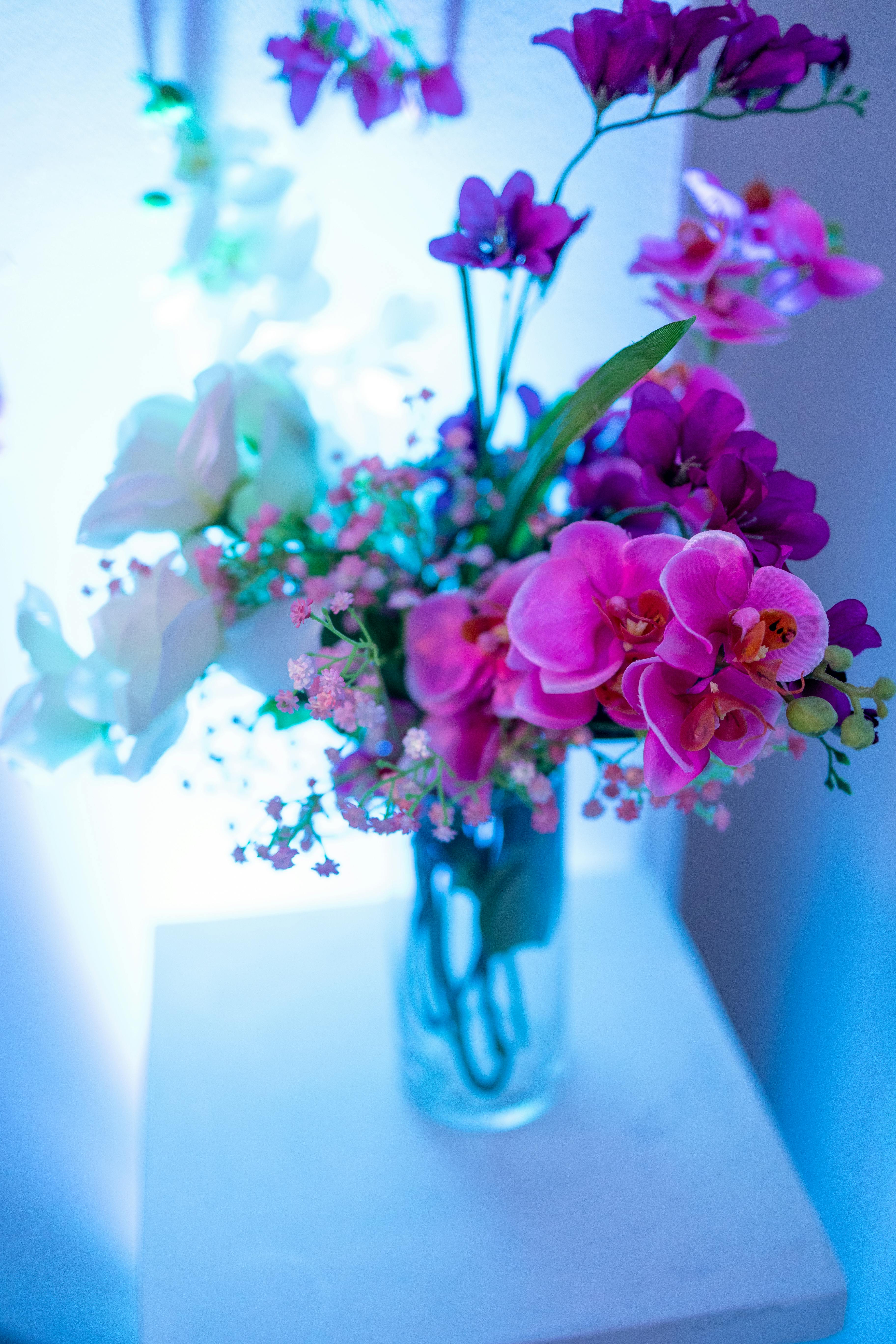 Birthday Decor Ideas posted by Sankofa Haus