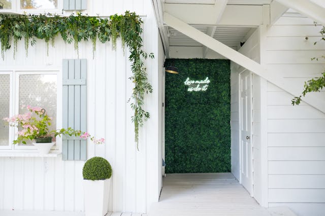 Featured photo from The Lawn