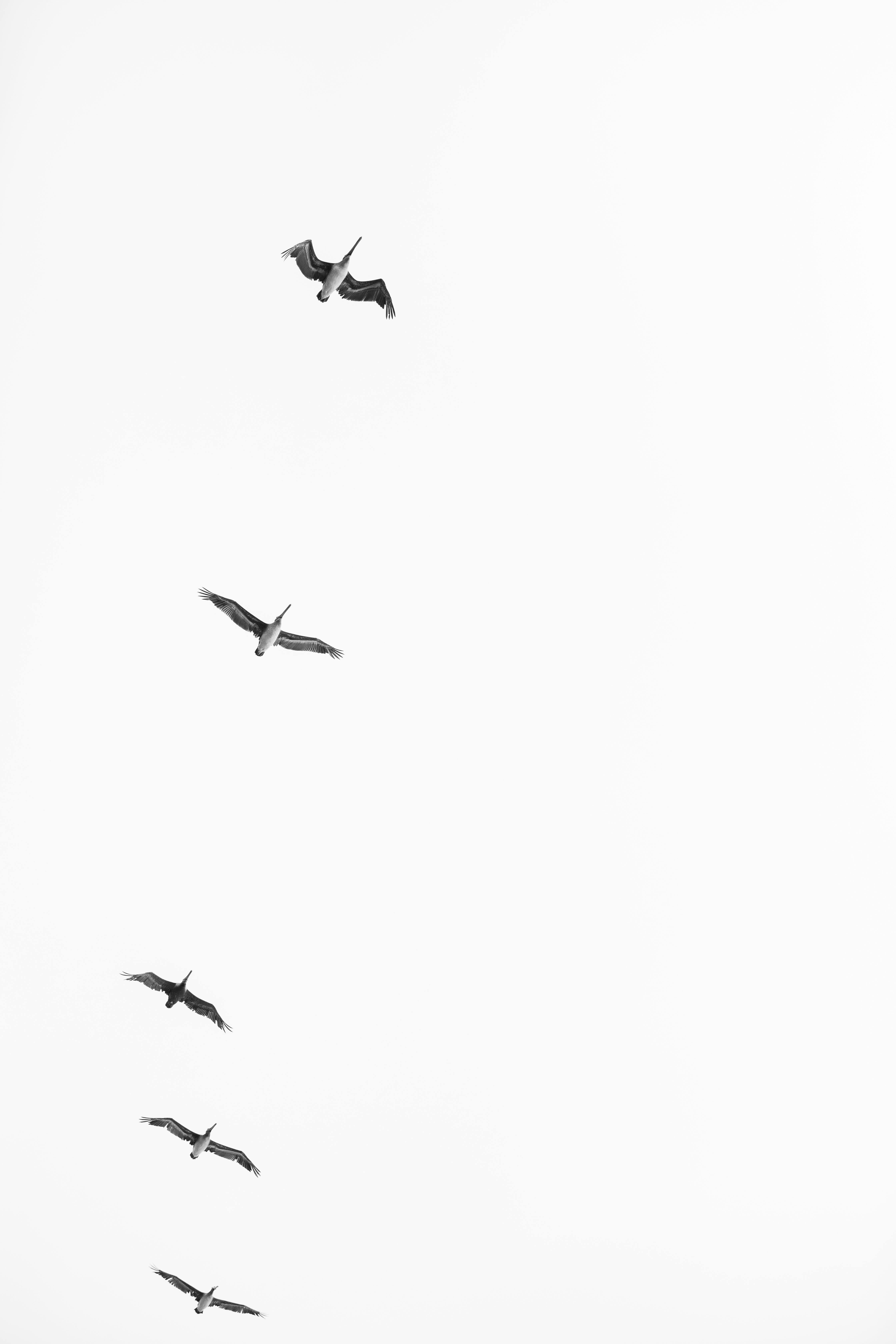 photo-846e4ba5-f618-45a3-8107-1505ca82145b-jpg-ixlib-rails-2-1-4-w-1200