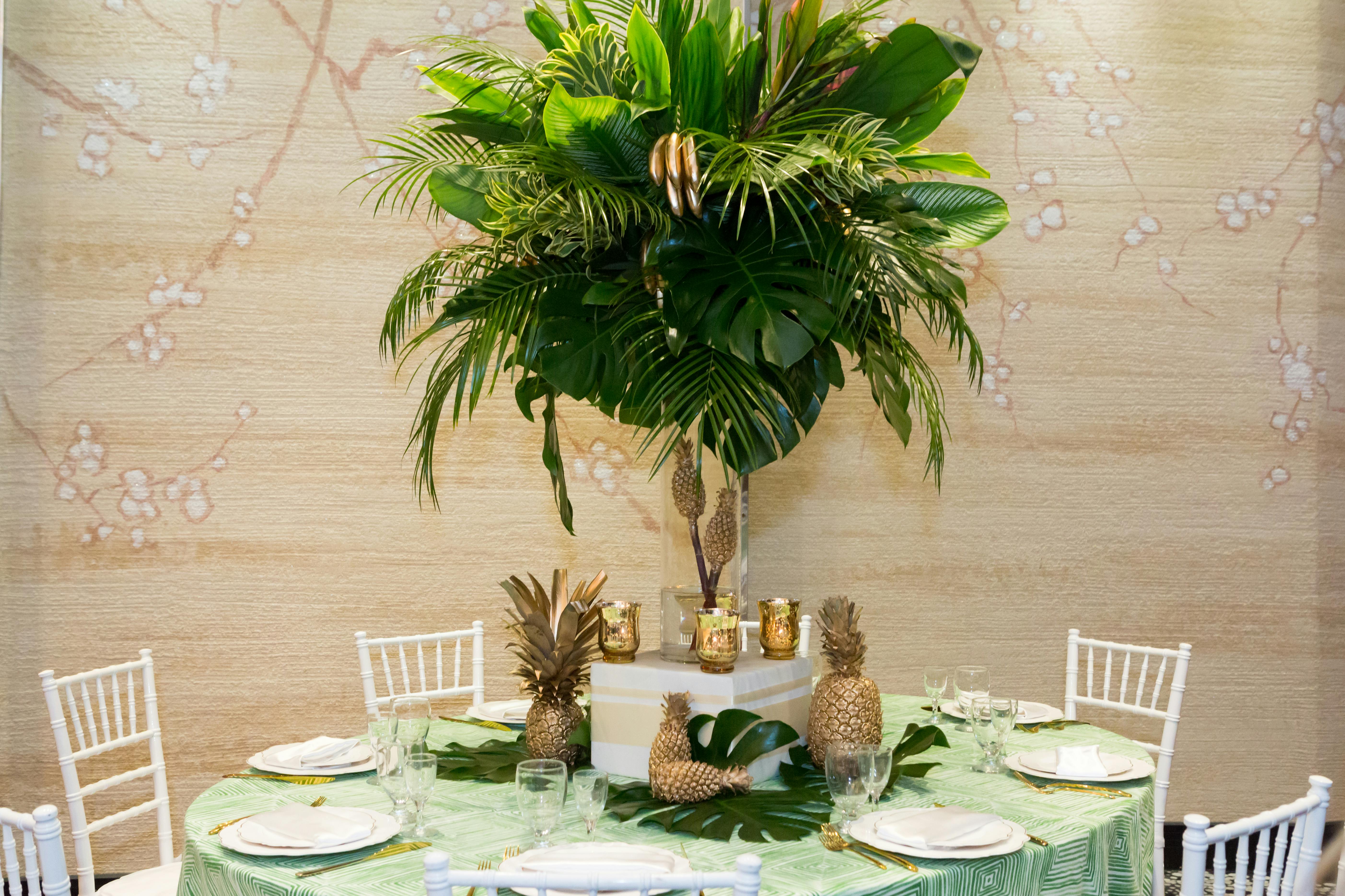 Golden Tropics Kids Birthday in Los Angeles, CA Eddie Zaratsian