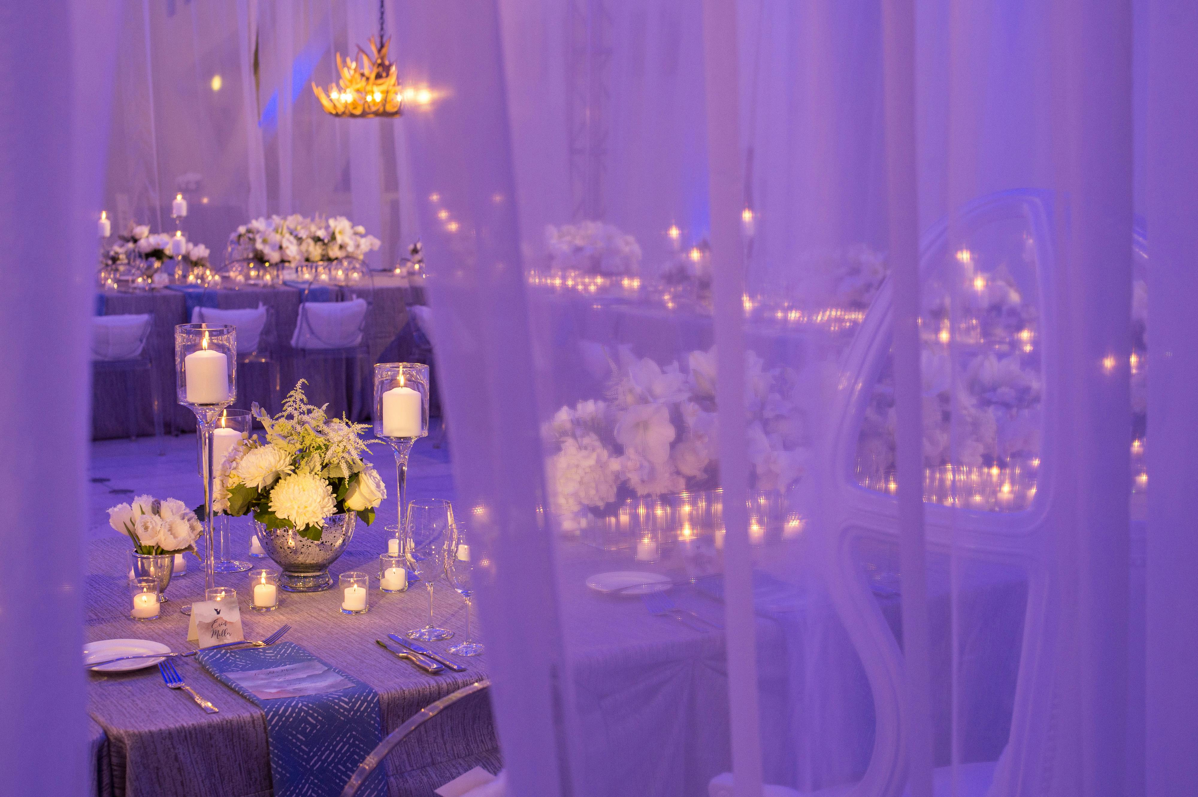 Drape Kings Rentals & Linens PartySlate