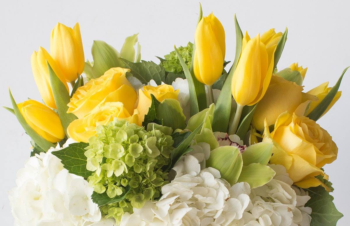 Kissimmee Florist Orlando Design & Floral All Photo Albums PartySlate