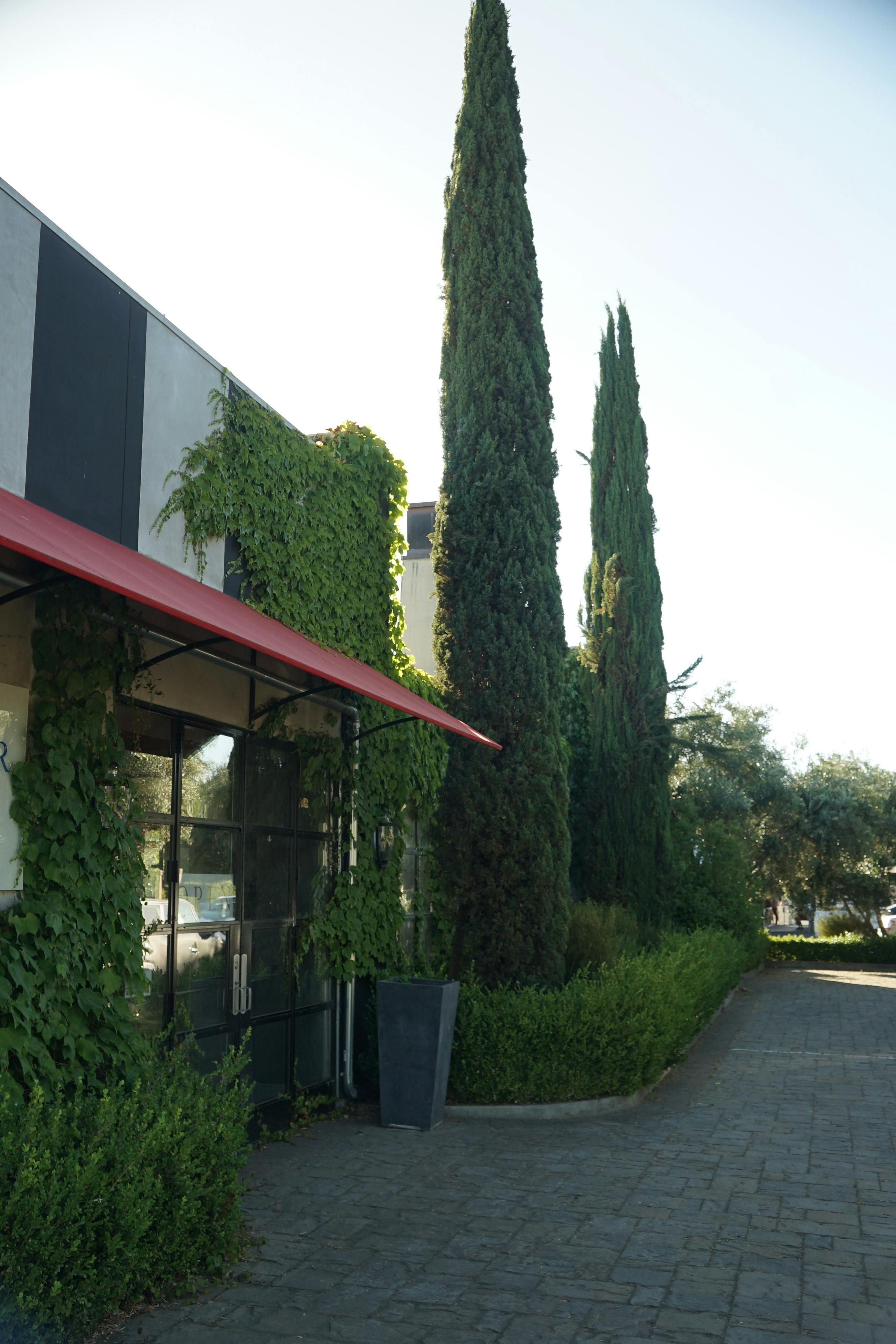Vine Star, Restaurant event space at Vine Star