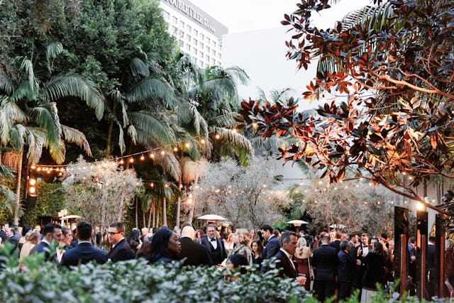 Featured photo from Courtyard