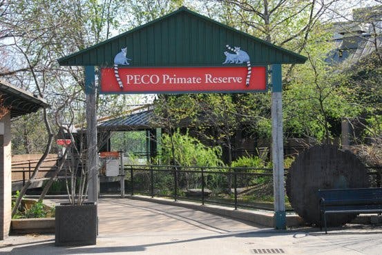 PECO Primate Reserve Philadelphia Zoo PartySlate