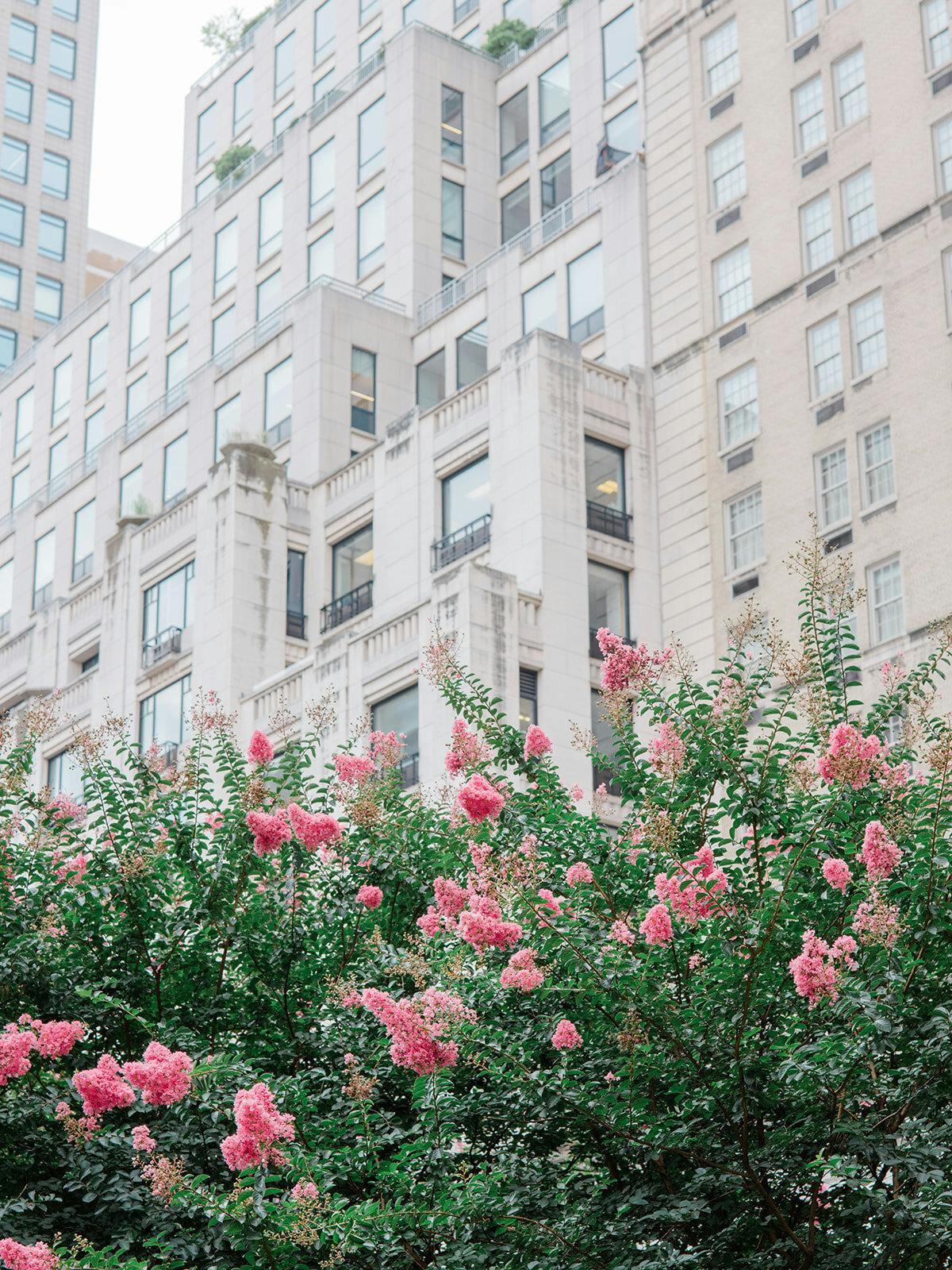 Featured photo from An Iconic Indian Wedding at The Pierre NYC