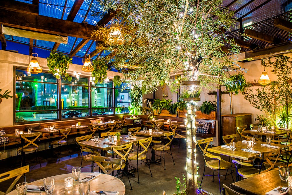 Madera (Normal Restaurant Setup Shots) Madera Kitchen PartySlate