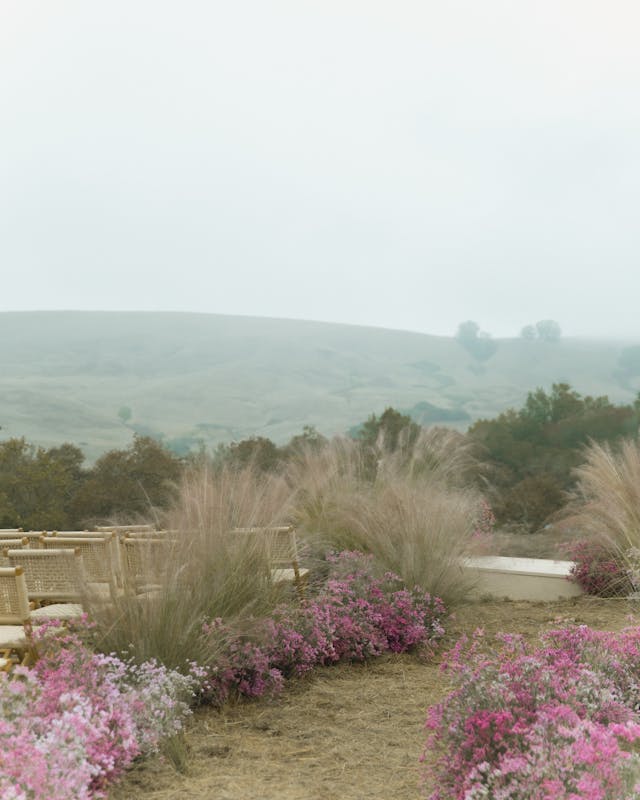 Featured photo from Emily + Patrick's Wedding in Penngrove, Ca
