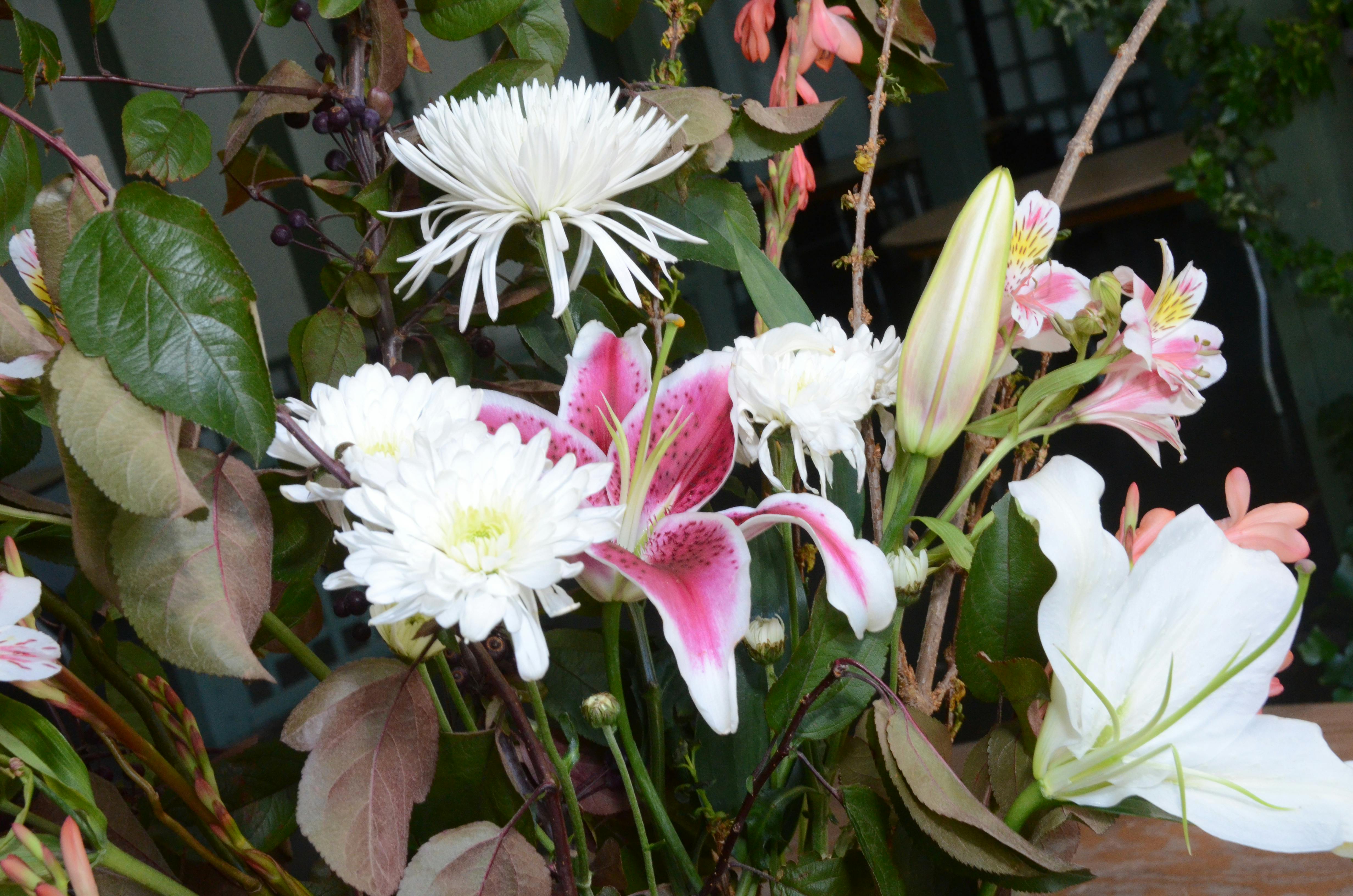 Featured photo from Summer Outdoor Party