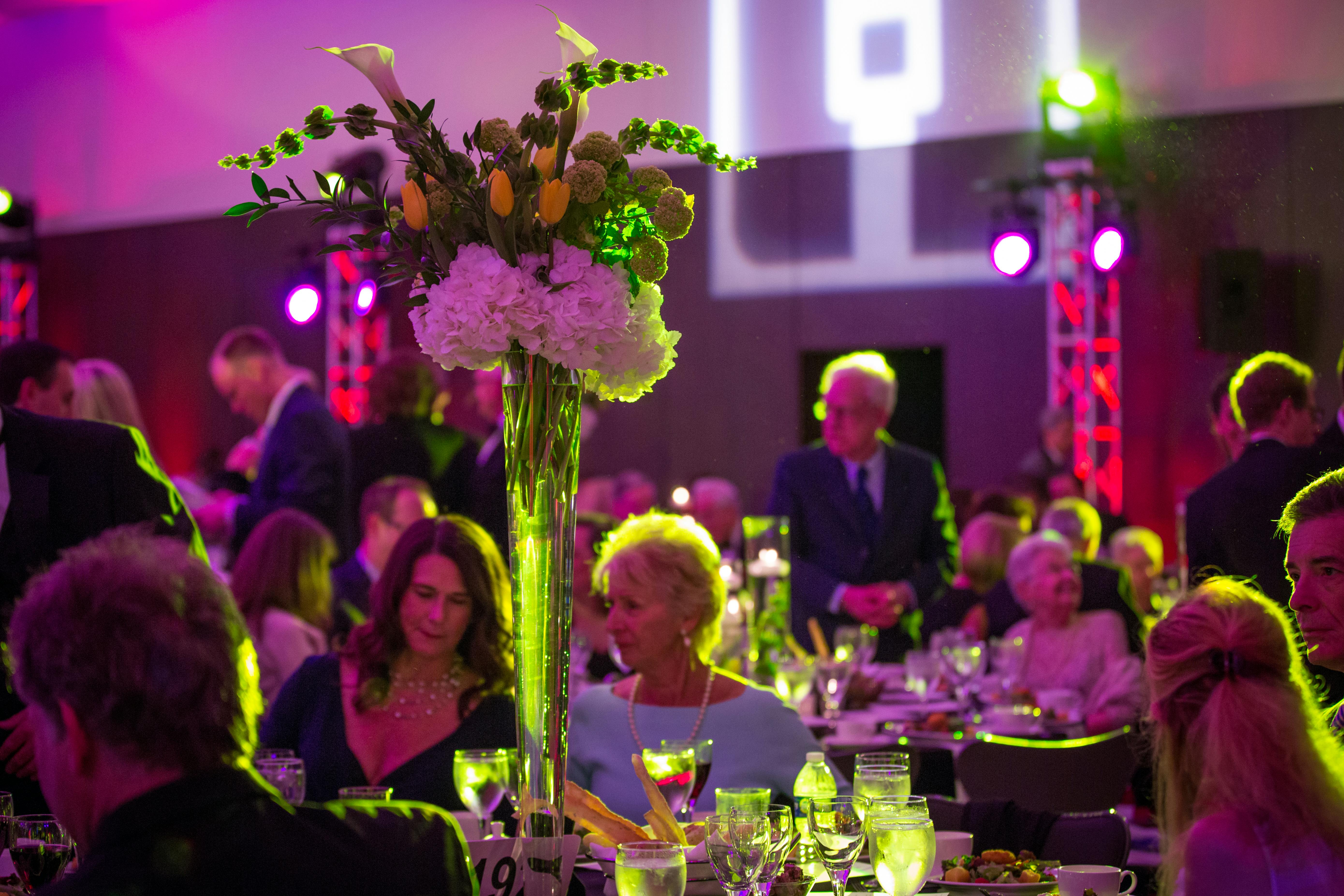 Fundraiser Lighting Ideas posted by Luxe Productions