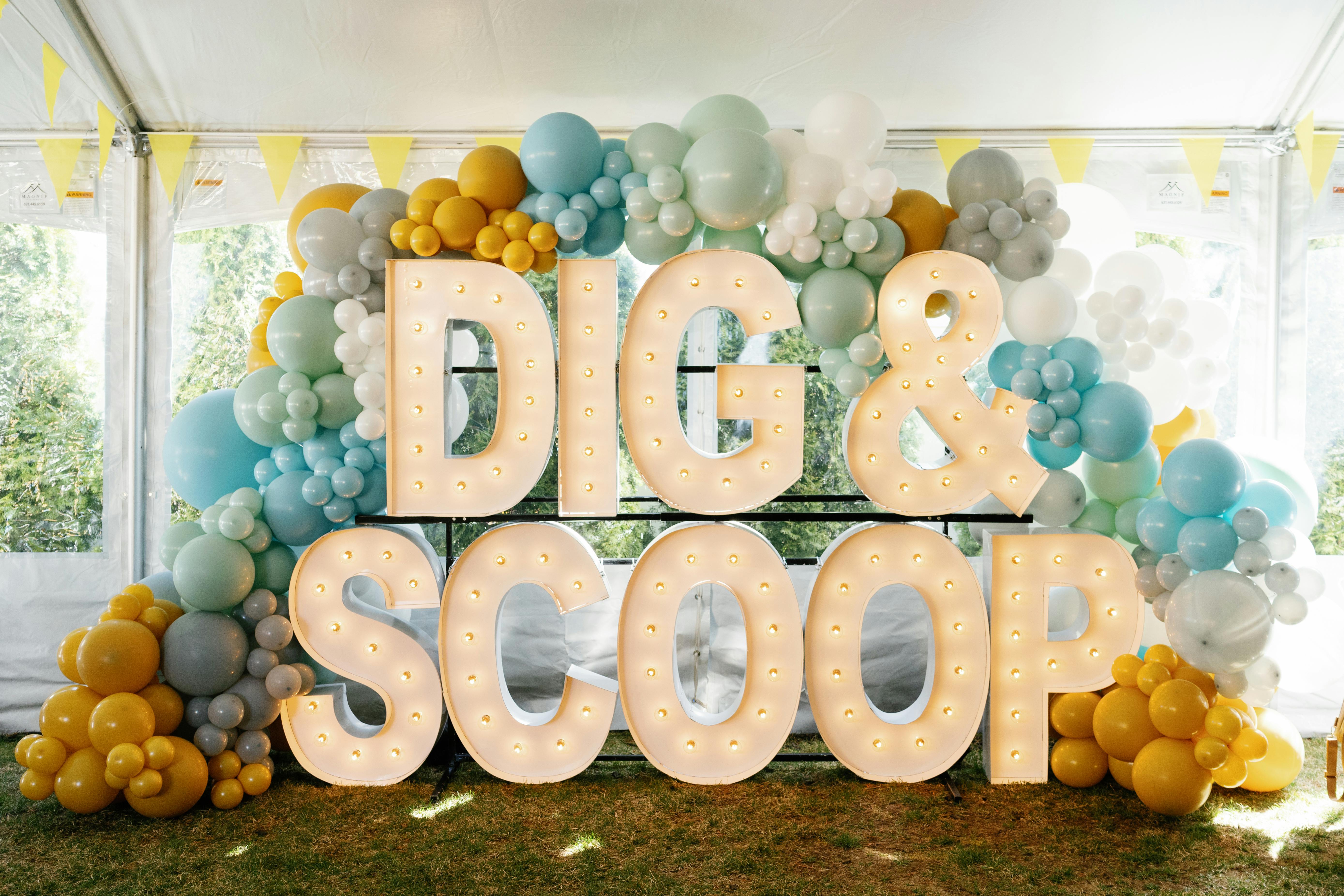 Alpha Lit Long Island Massapequa Rentals All Events 108 photos on