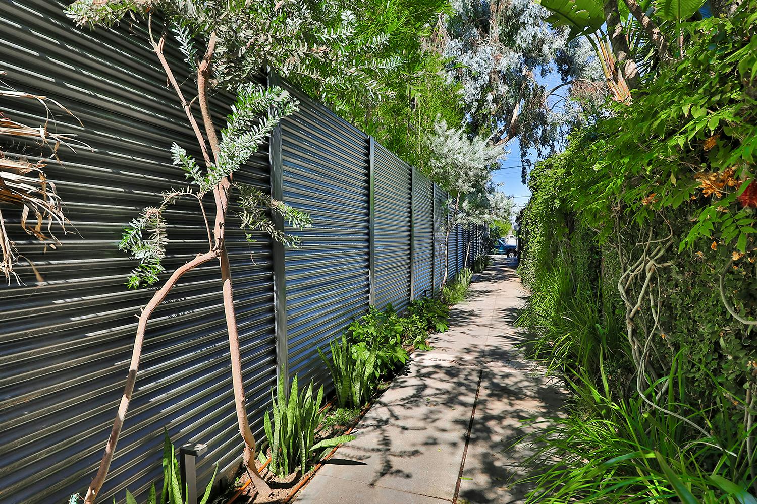 Featured photo from Nowita Art House in Venice, CA