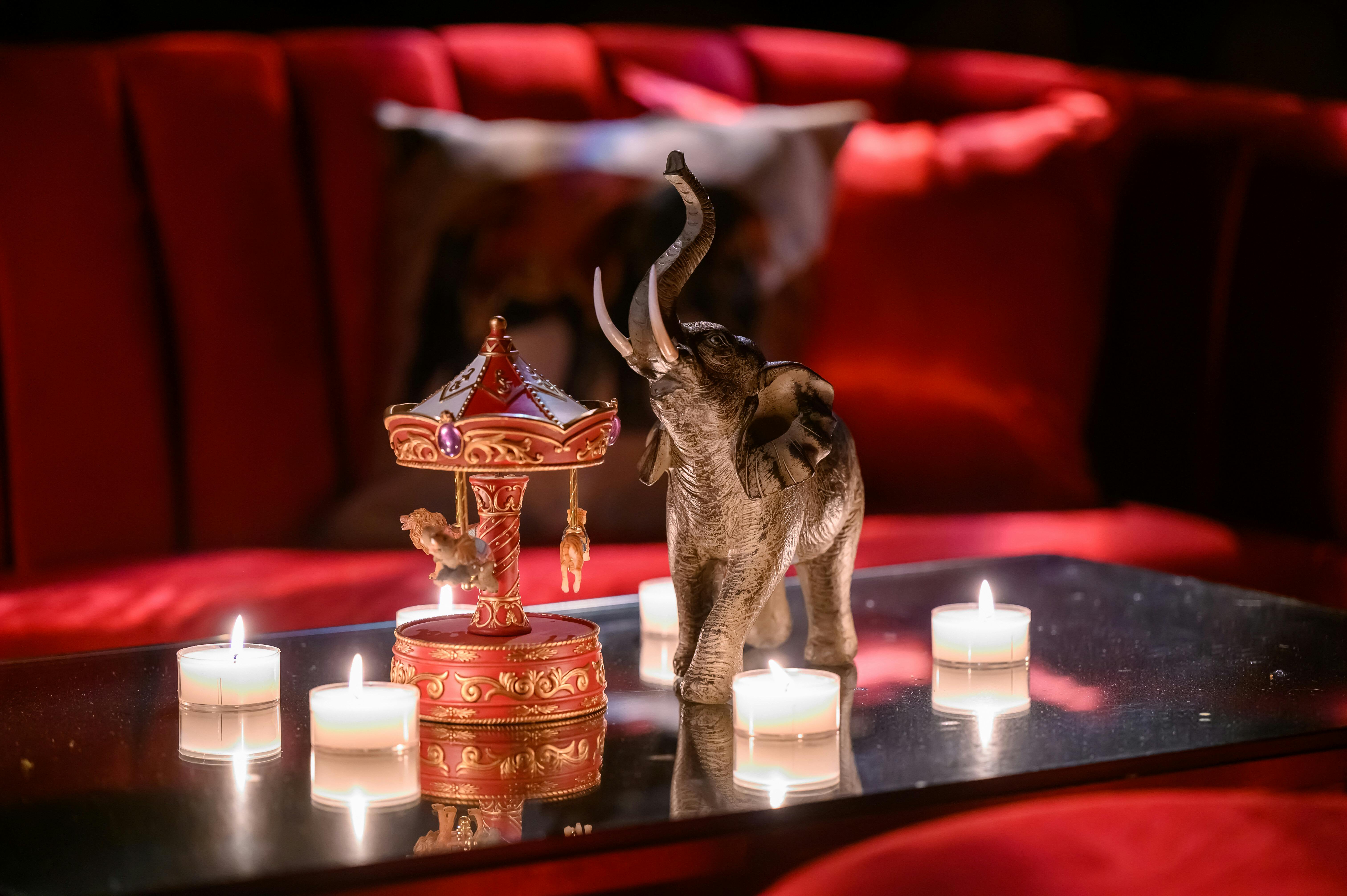 Dark Circus Themed Birthday | Wife of the Party | PartySlate