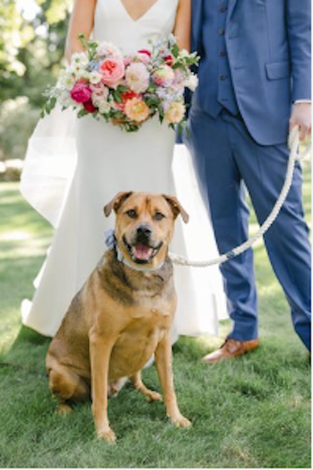 Featured photo from Seaside Nuptials at Round Hill Mansion in Dartmouth, Massachusetts