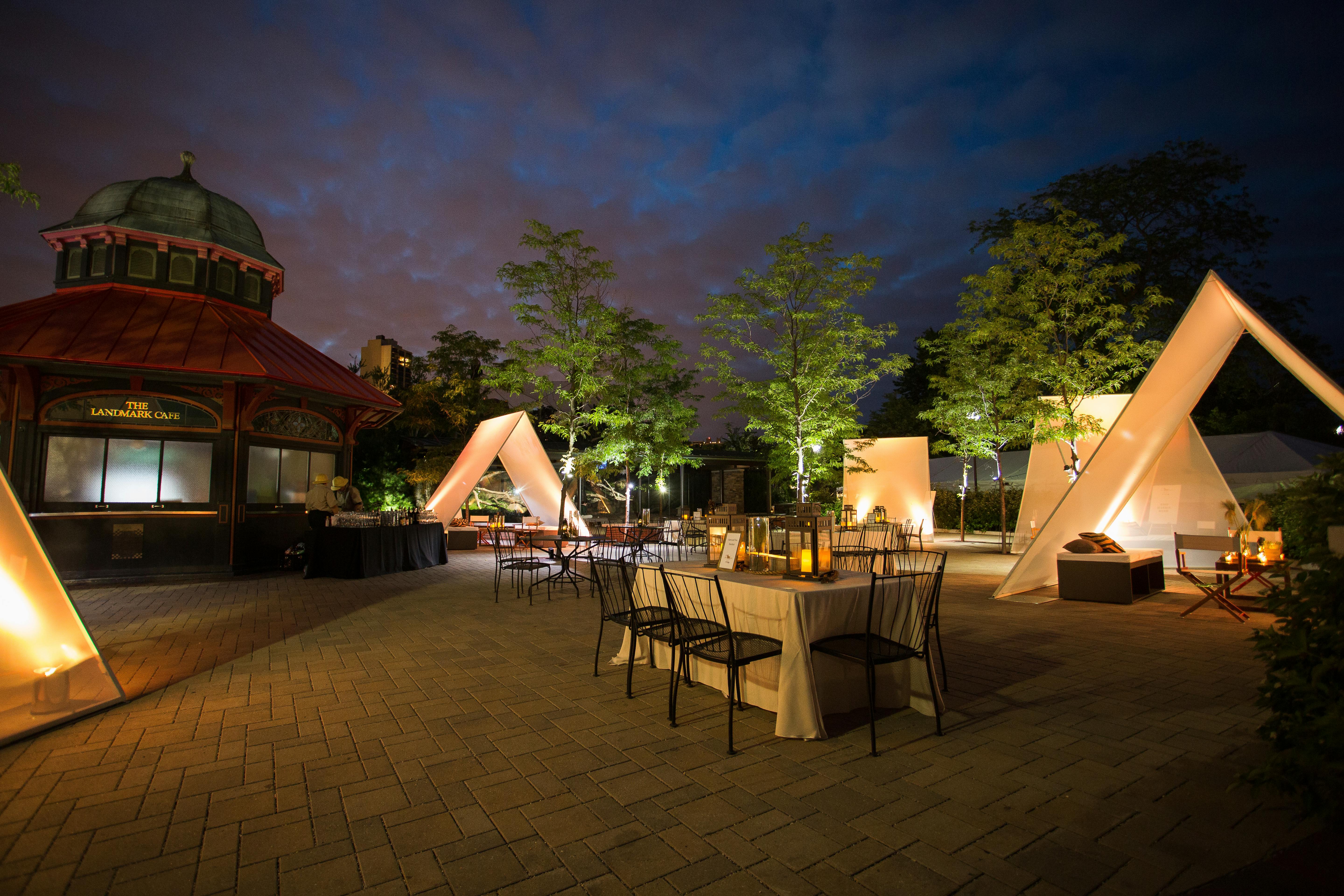 Fundraiser Lighting Ideas posted by Erin McDonald Co