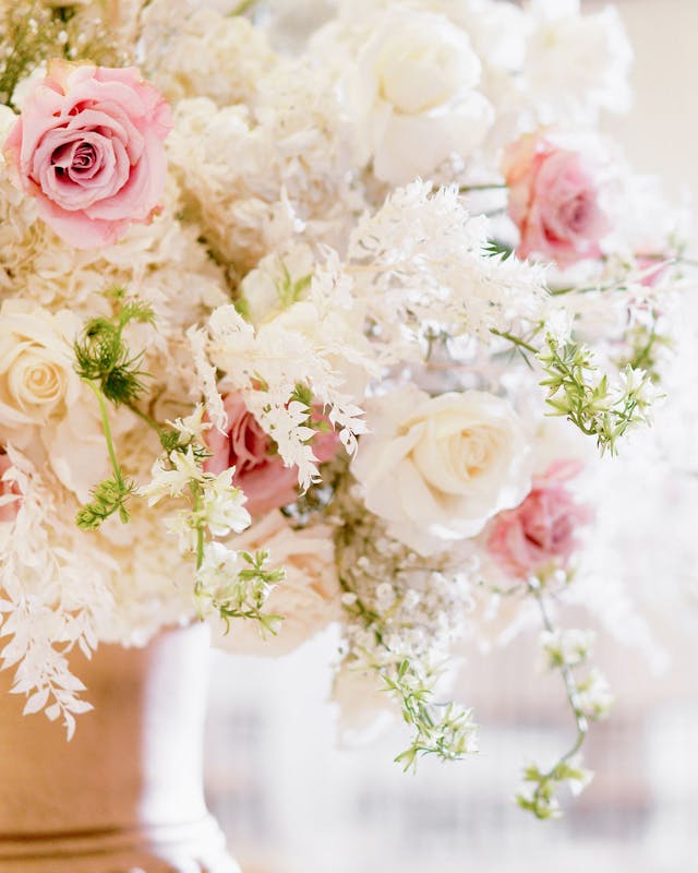 Featured photo from Shaina and Harmeet