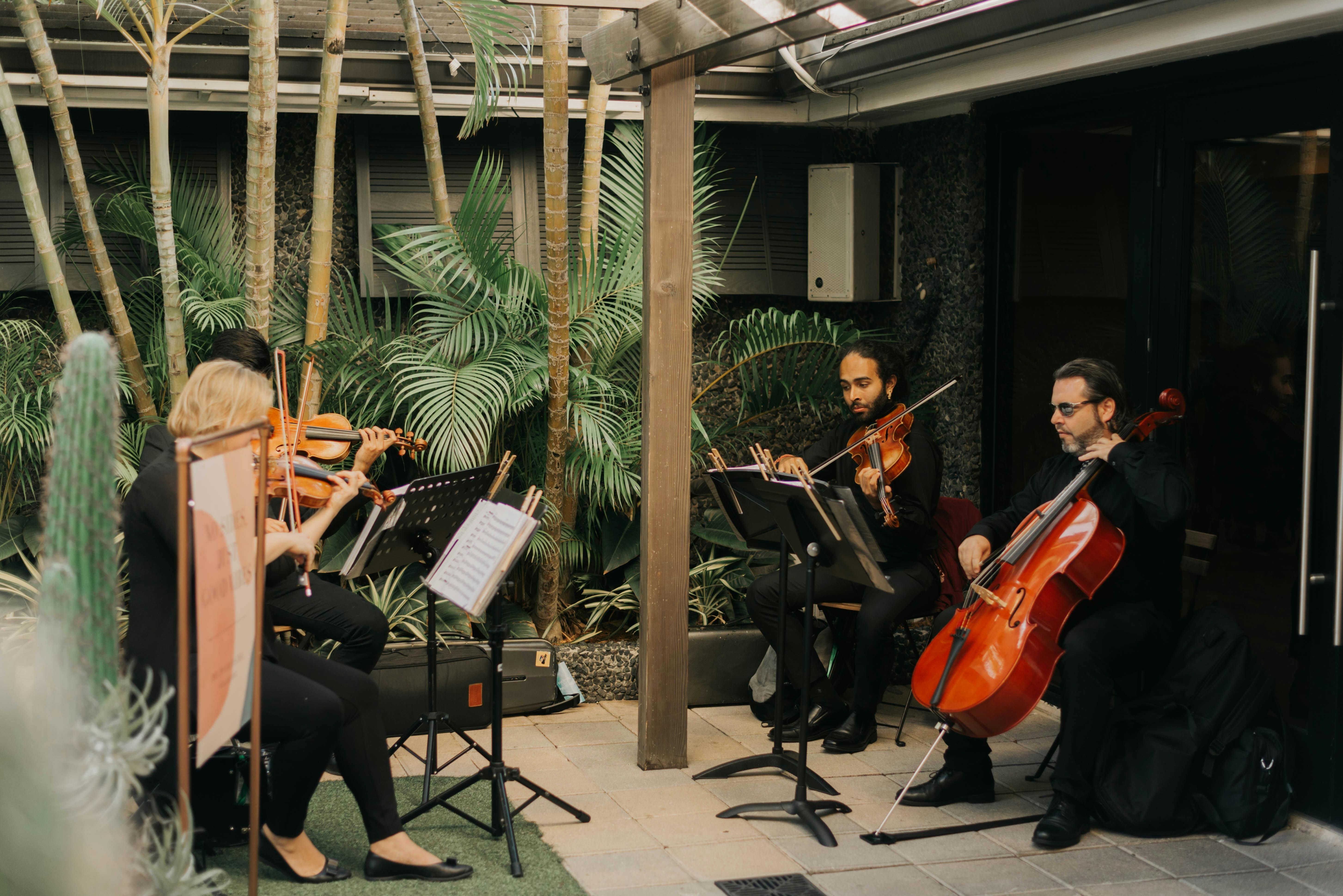 Innocenti Strings Tampa Entertainment All Events 103 photos on