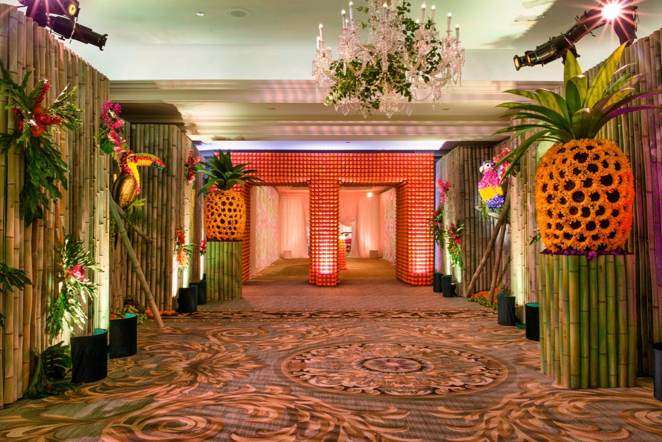 Casino tropical chicago