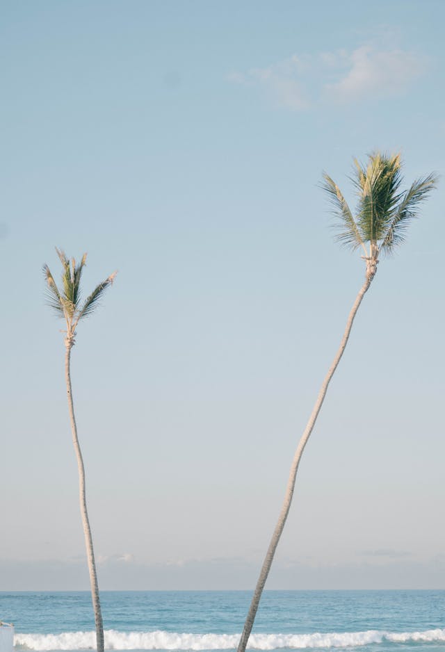 Featured photo from S + G's Wedding in Punta Cana at the Dreams Macao Beach Resort