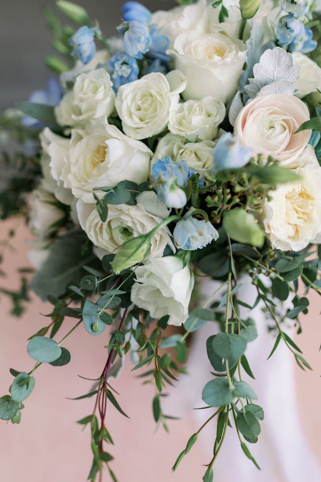 Featured photo from Watch Romance Blossom at this Delicate Wedding at Vinoy Renaissance Resort