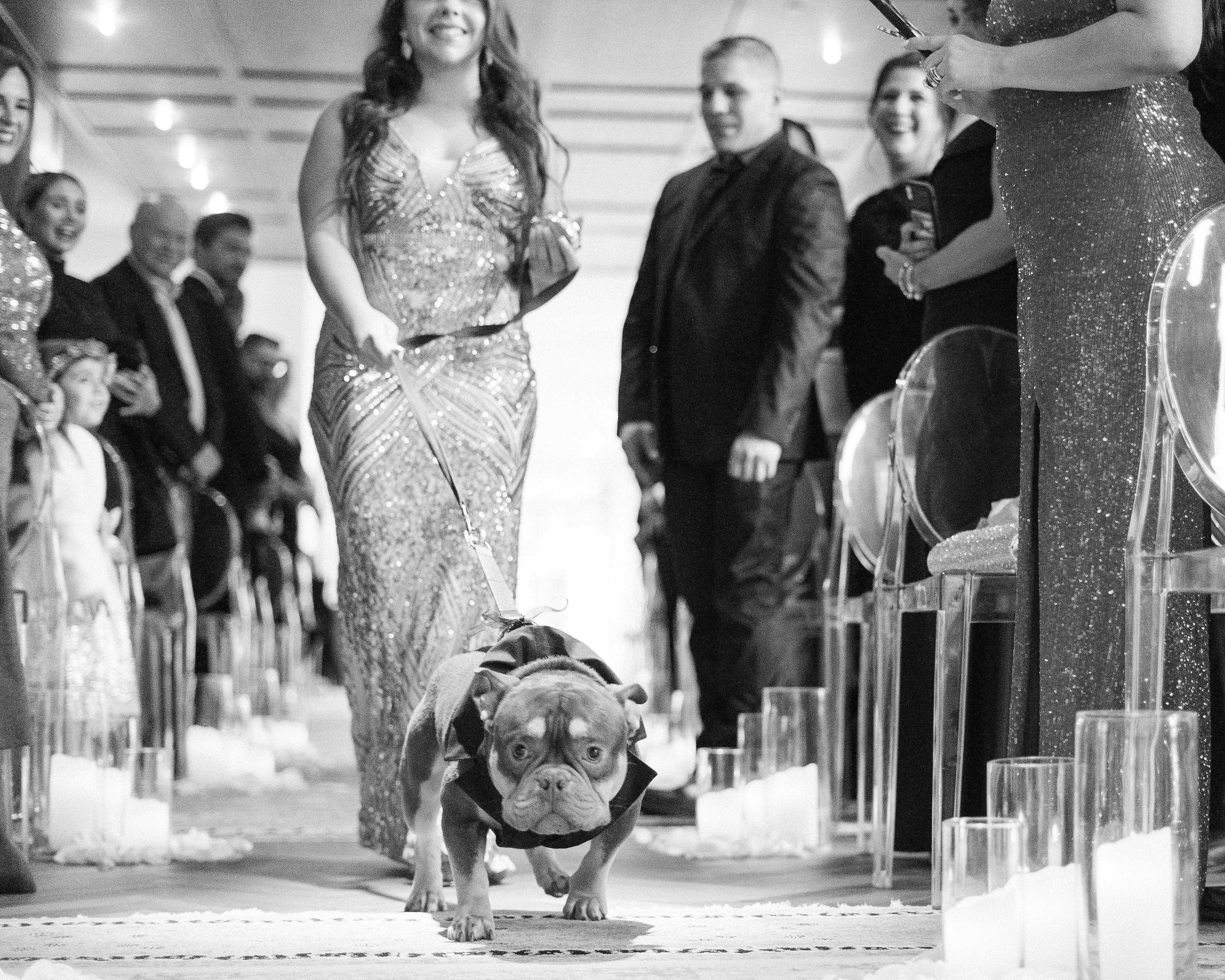 photo-df2ef4fd-783b-4366-92fa-4b068e93a629-jpg-ixlib-rails-2-1-4-w-1200