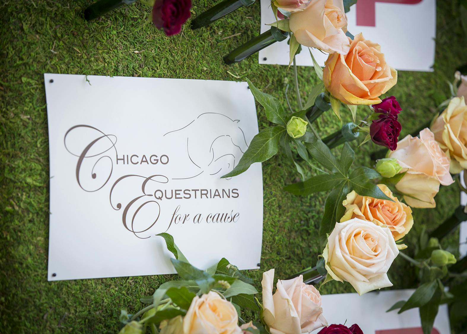 Fundraiser Signage Ideas posted by Michelle Durpetti Events