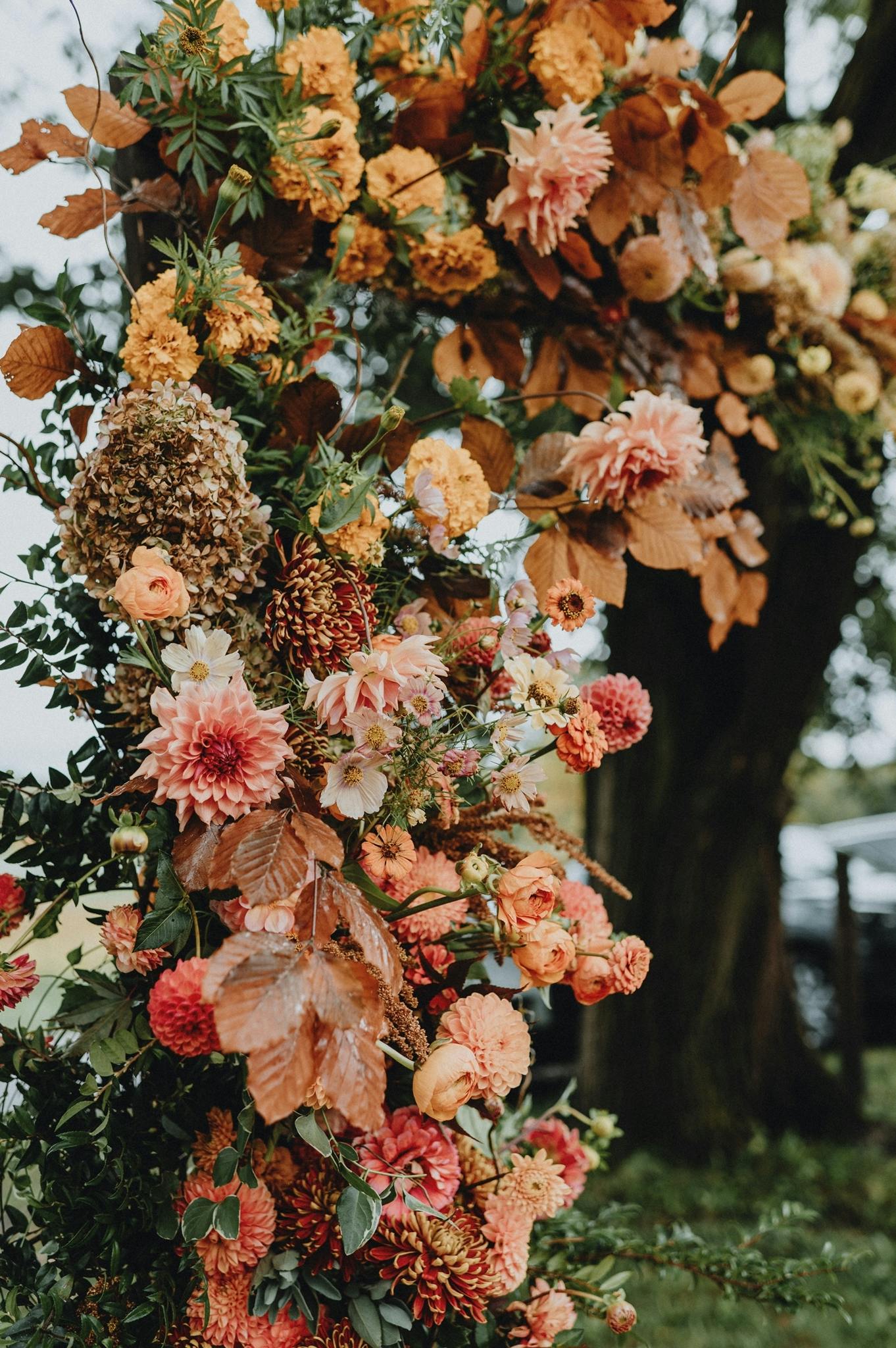 Viola's Kitchen Catering & Event Planning Chicago Caterer All