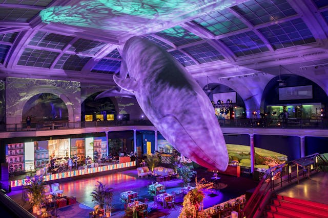 Featured photo from ¡CUBA! Spring Showcase - American Museum of Natural History
