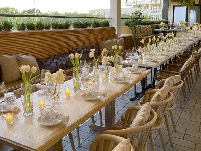 Featured photo from Terra