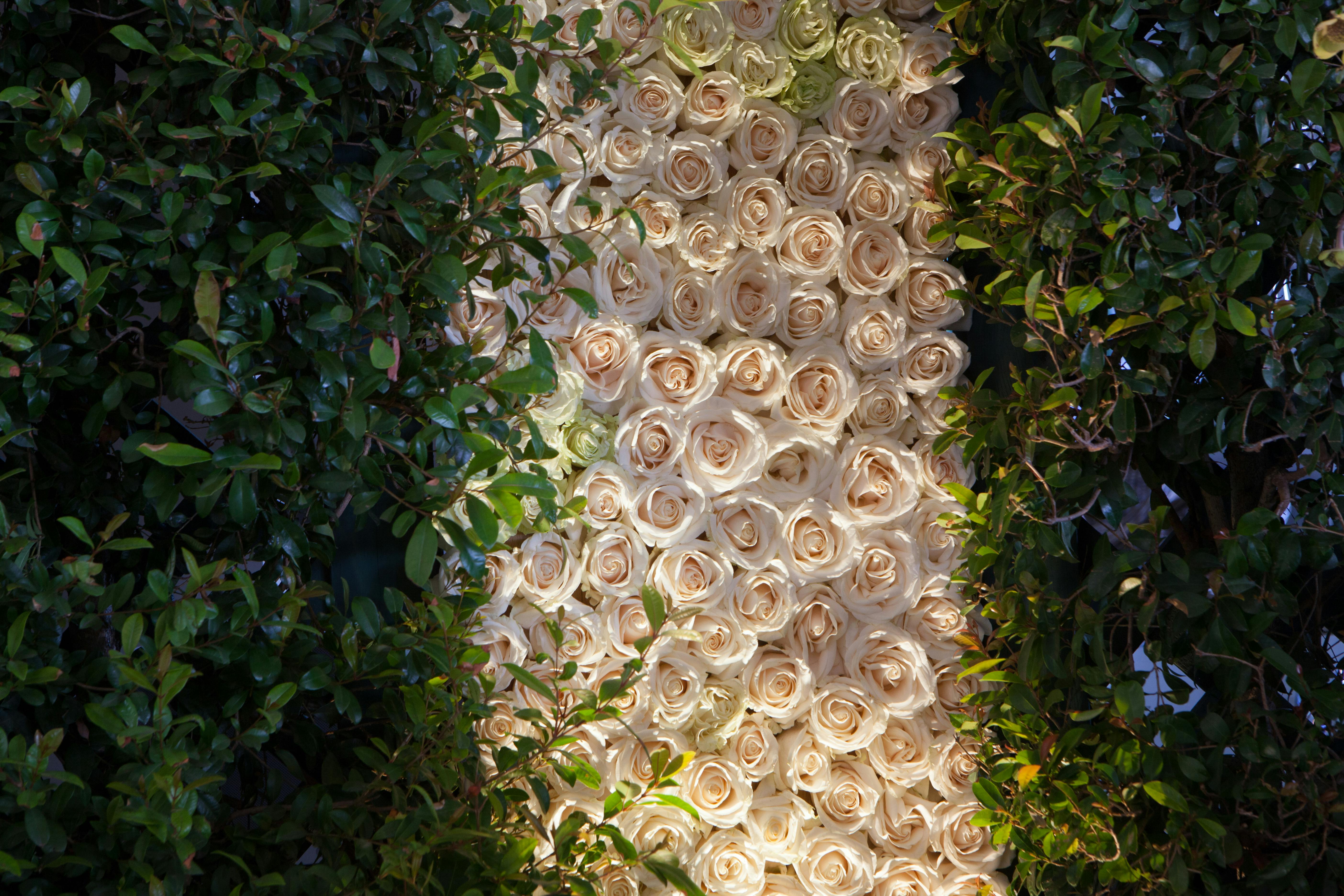 Birthday Decor Ideas posted by Paulette Wolf Events - PWE