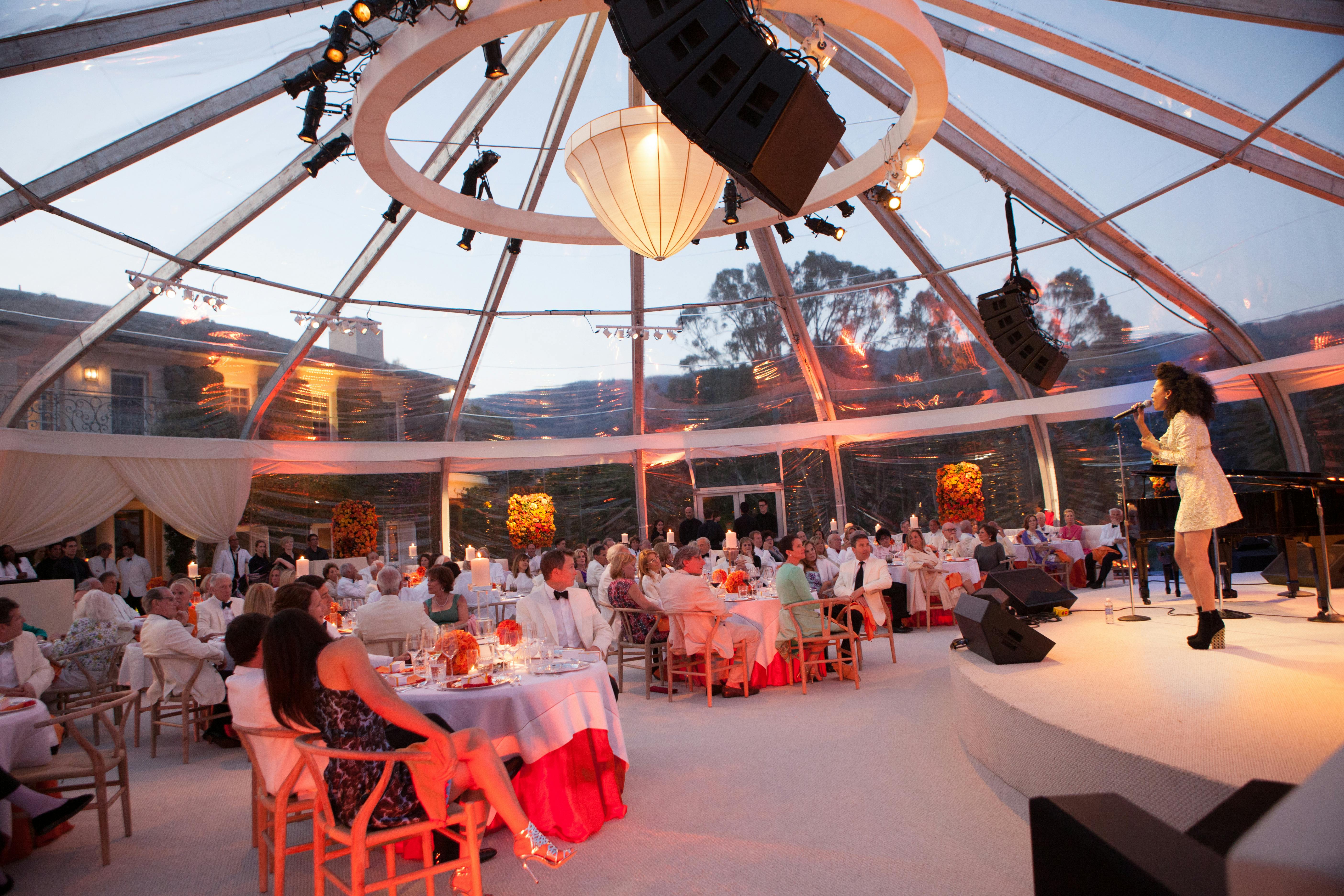 Birthday Entertainment Ideas posted by Paulette Wolf Events - PWE