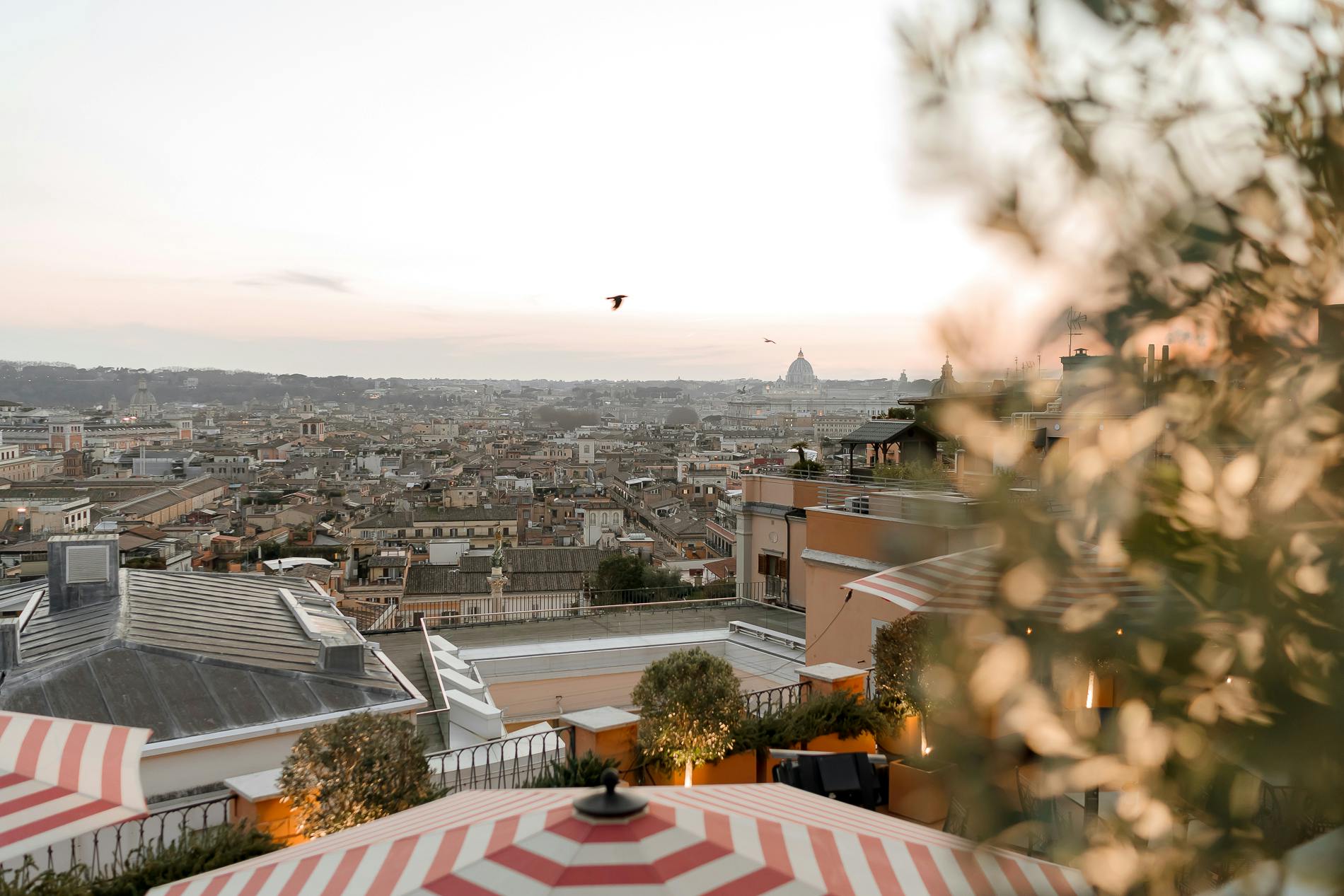 Featured photo from Cielo Restaurant - 7th floor -