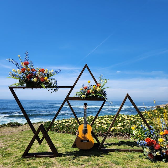 Featured photo from Professional Live Guitar Performance